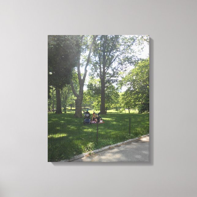 Central Park, New York City, USA Canvastryck (Framsida)