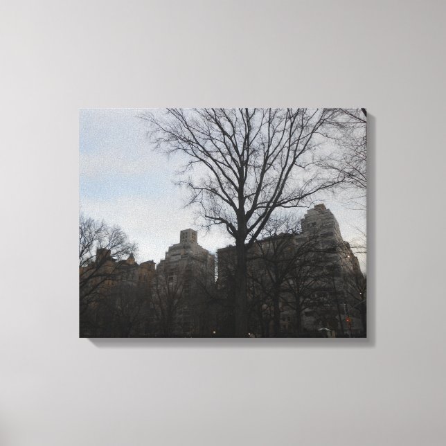 Central Park, New York City, USA Canvastryck (Framsida)