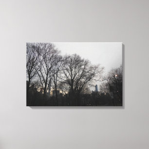 Central Park, New York City, USA Canvastryck