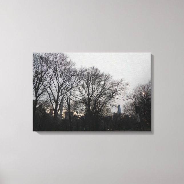 Central Park, New York City, USA Canvastryck (Framsida)