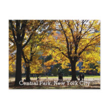 Central Park New York Höst Gula Träd