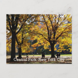 Central Park New York Höst Gula Träd Vykort