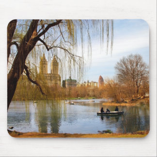 Central Park New York Musmatta