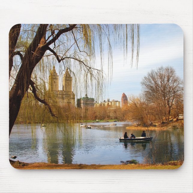 Central Park New York Musmatta (Framsidan)
