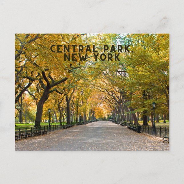 Central Park, New York Postcard Souvenir Vykort (Framsida)