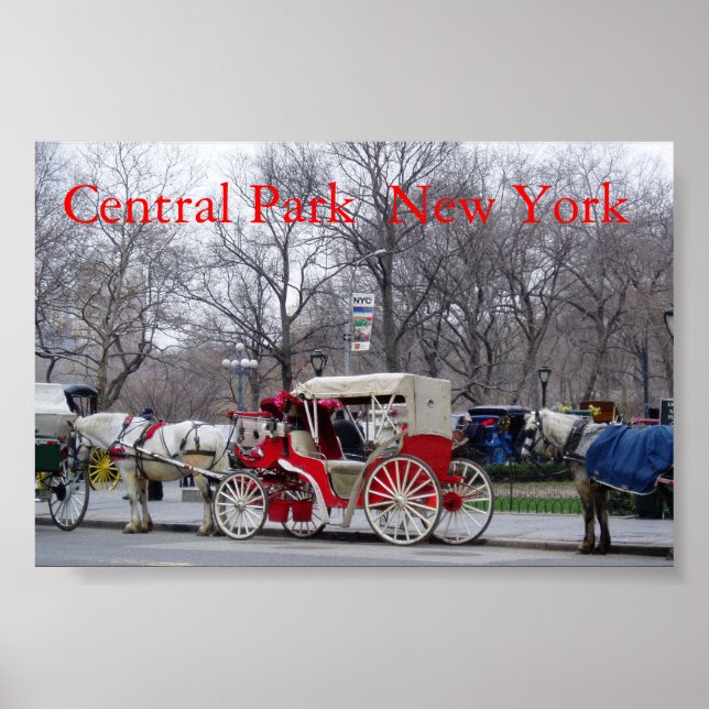 Central Park / New York Poster (Framsidan)