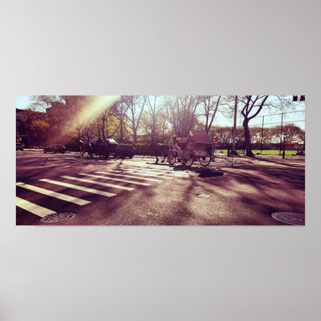 CENTRAL PARK NEW YORK POSTER (Framsidan)