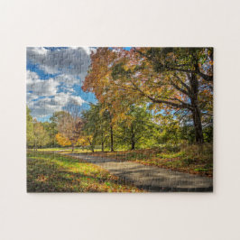 Central Park New York Pussel