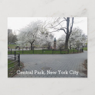 Central Park New York Springtime Väg med Träd Vykort