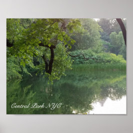 Central Park New York Turtle Pond i sommar Poster
