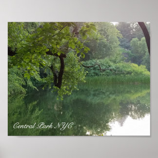 Central Park New York Turtle Pond i sommar Poster