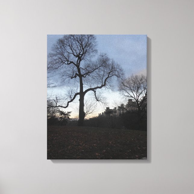 Central Park. NYC Canvastryck (Framsida)