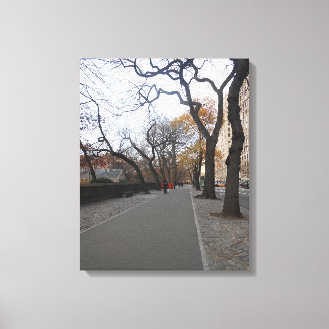 Central Park. NYC Canvastryck (Framsida)