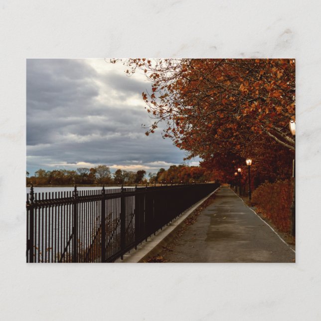 Central Park NYC i höst Vykort (Framsida)