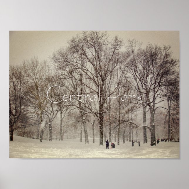Central Park, NYC Poster (Framsidan)