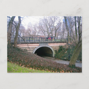 Central Park NYC Stone Archway New York City Photo Vykort