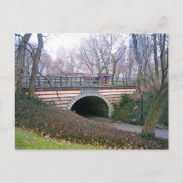 Central Park NYC Stone Archway New York City Photo Vykort