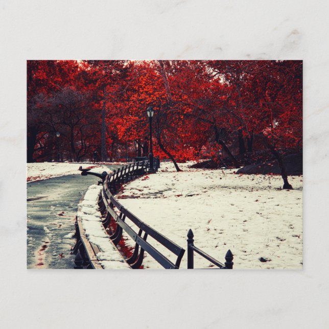 Central Park, NYC Vykort (Framsida)