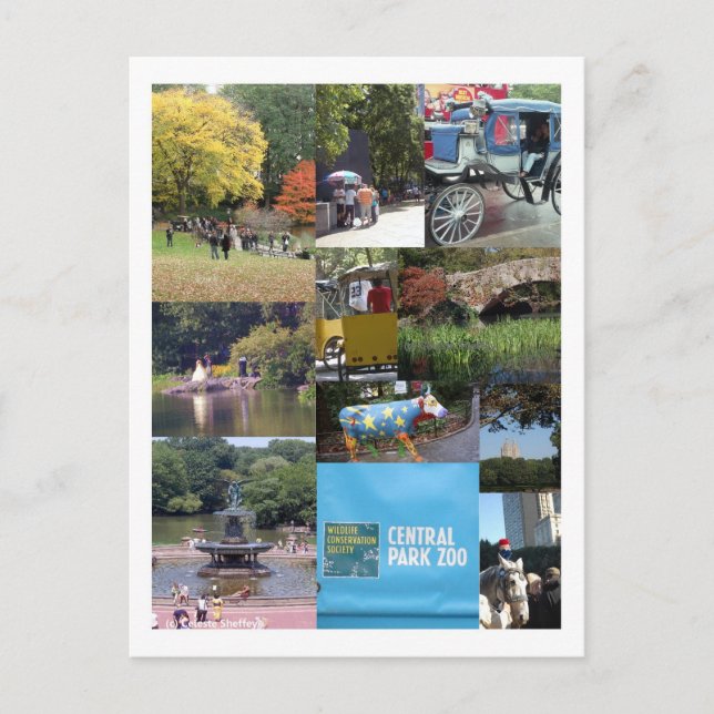 Central Park - NYC-vykort Vykort (Framsida)