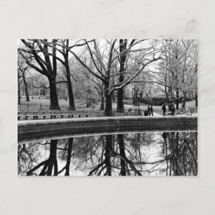 Central Park Photo, NYC Vykort