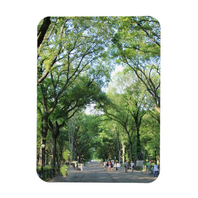 Central Park: Poets Walk i sommaren Magnet (Vertikal)