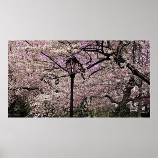 Central park poster