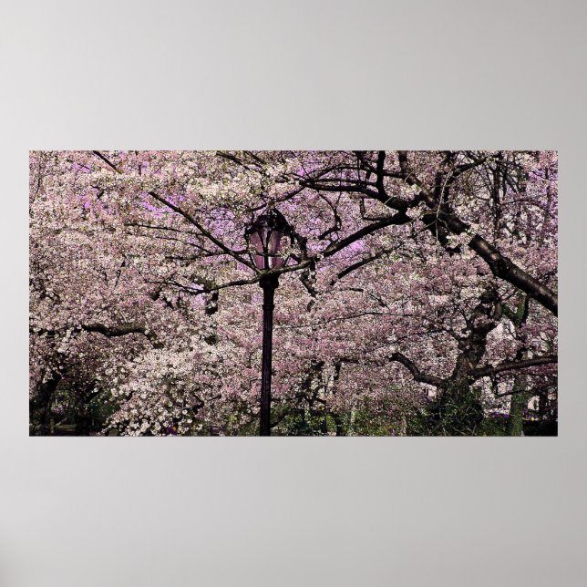 Central park poster (Framsidan)