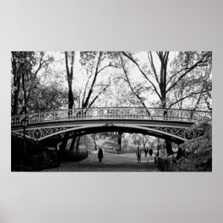 Central park poster