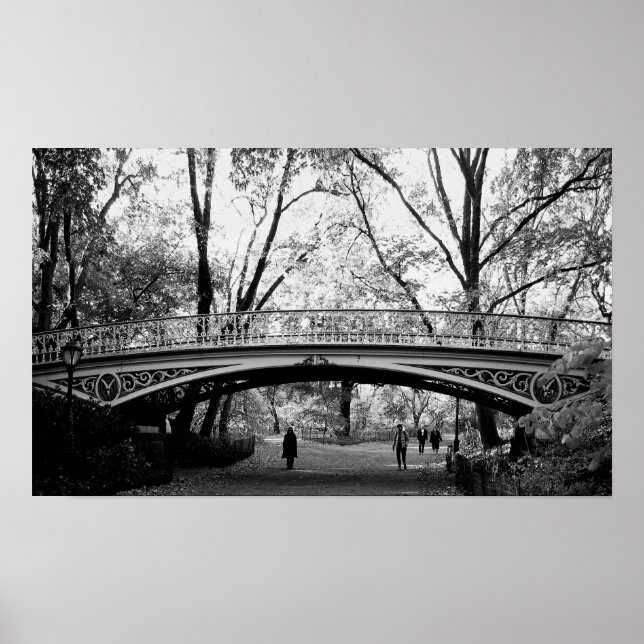 Central park poster (Framsidan)