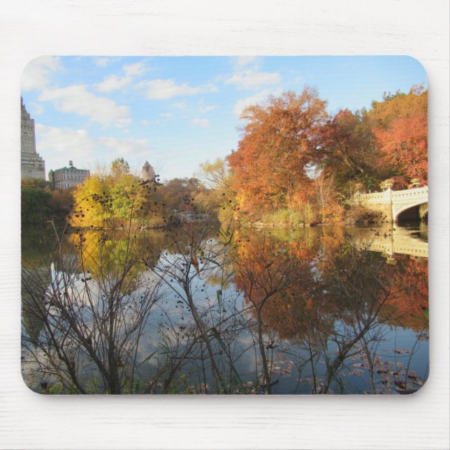 Central Park-reflektioner på hösten Musmatta (Framsidan)