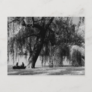 Central Park Rowboat Vykort
