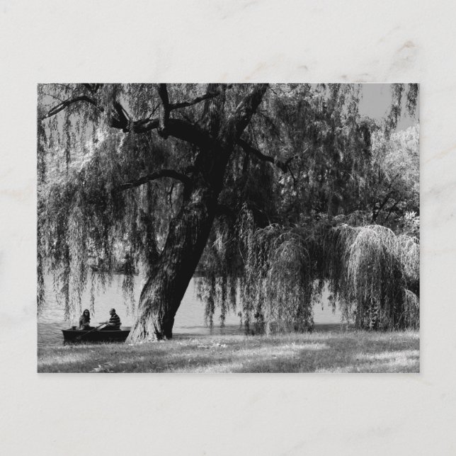 Central Park Rowboat Vykort (Framsida)
