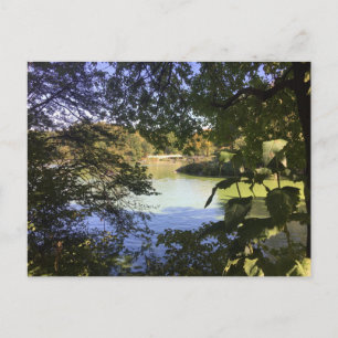 Central Park Sjö New York City NYC-fotovykort Vykort