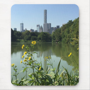 Central Park Sjö New York City NYC Skyline Flower Musmatta