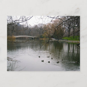 Central Park Sjö NYC New York City vykort