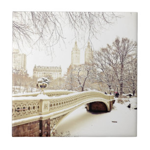 Central Park snö - vinter New York Kakelplatta