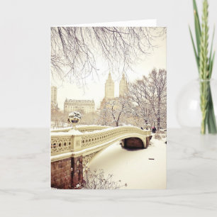 Central Park snö - vinter New York Kort