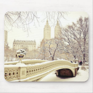 Central Park snö - vinter New York Musmatta