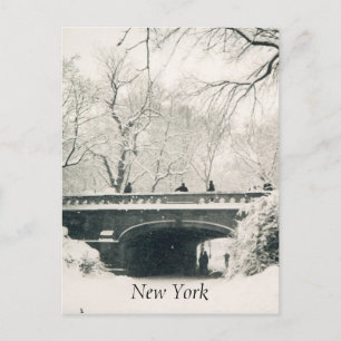 Central park snö vit vykort