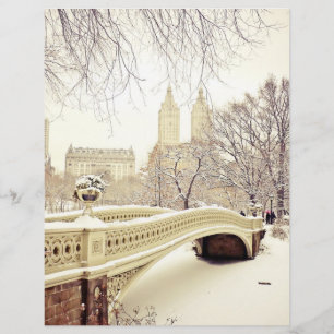 Central Park Snö - Winter New York