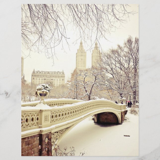 Central Park Snö - Winter New York (Framsida)