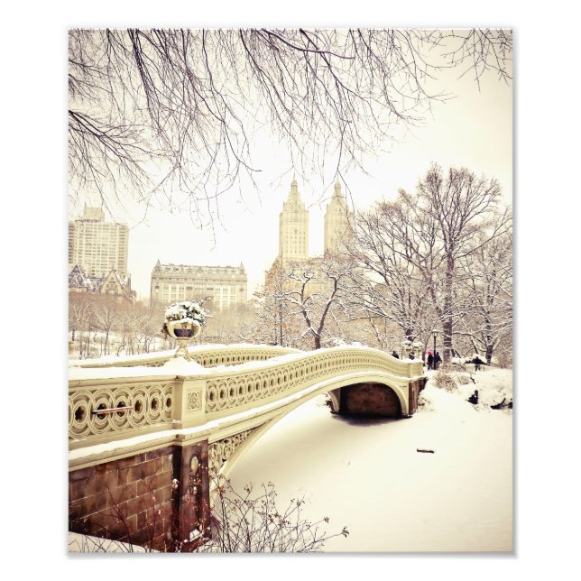 Central Park Snö - Winter New York Fototryck (Framsidan)