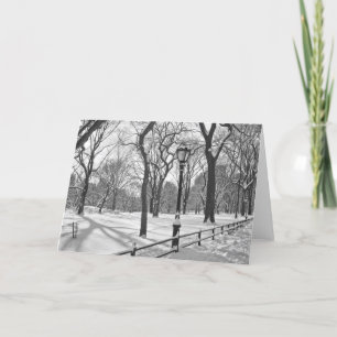 Central Park Snowfall B&W Helgkort