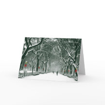 Central Park Snowy Väg