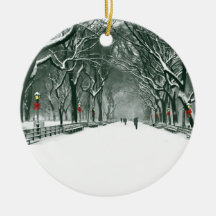 Central Park Snowy Väg