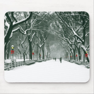 Central Park Snowy Väg Musmatta