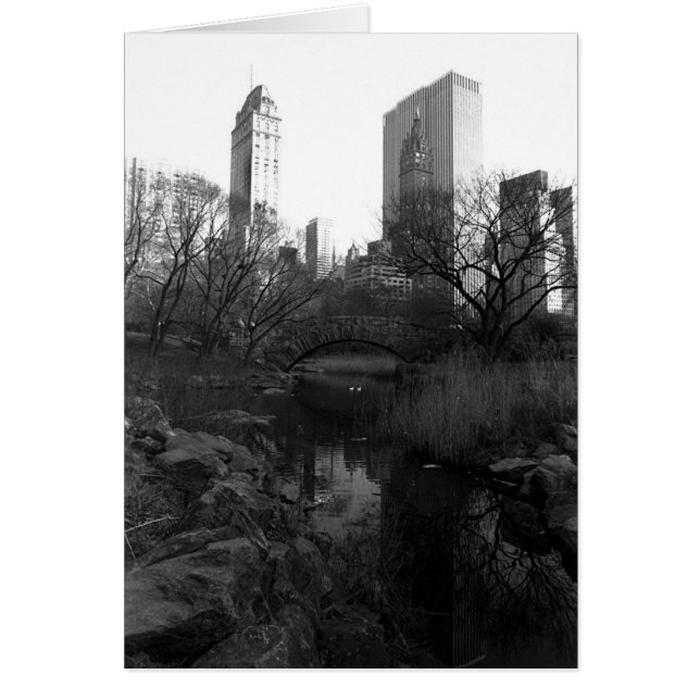 Central Park South Skyline NYC Hälsningskort (Framsidan)