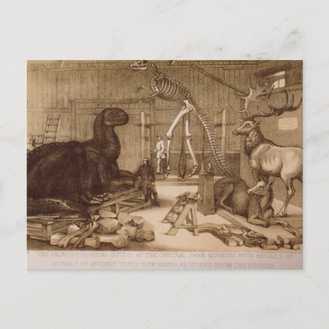 Central Park Studio Benjamin Waterhouse Hawkins Vykort (Framsida)