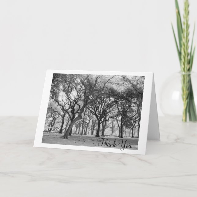 Central Park Tack (Framsida)