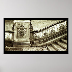 Central Park Trappor Poster